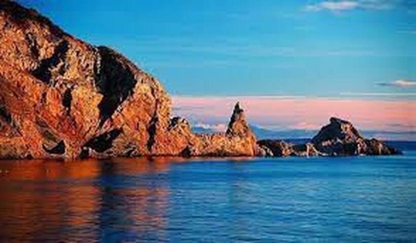 Halekulani Devon Homestay Torquay Dış mekan fotoğraf