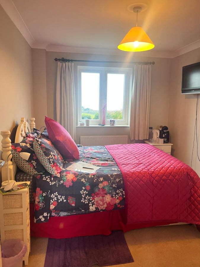 Halekulani Devon Homestay Torquay Dış mekan fotoğraf
